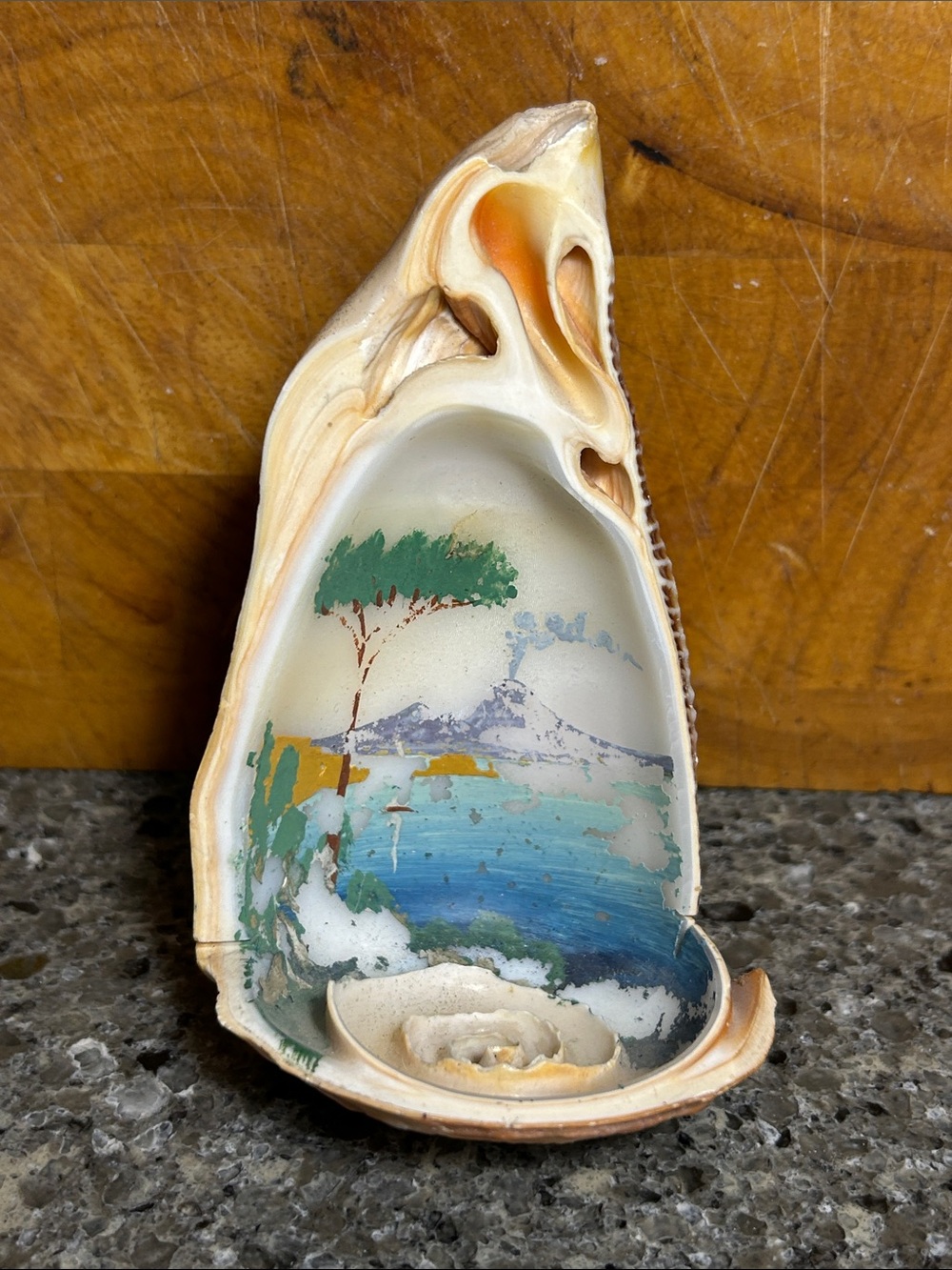 Vintage half shell hand painted candle holder